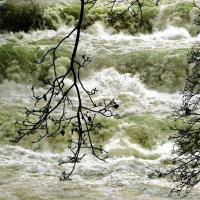 Titelbild des Albums: Fl�sse Landschaften